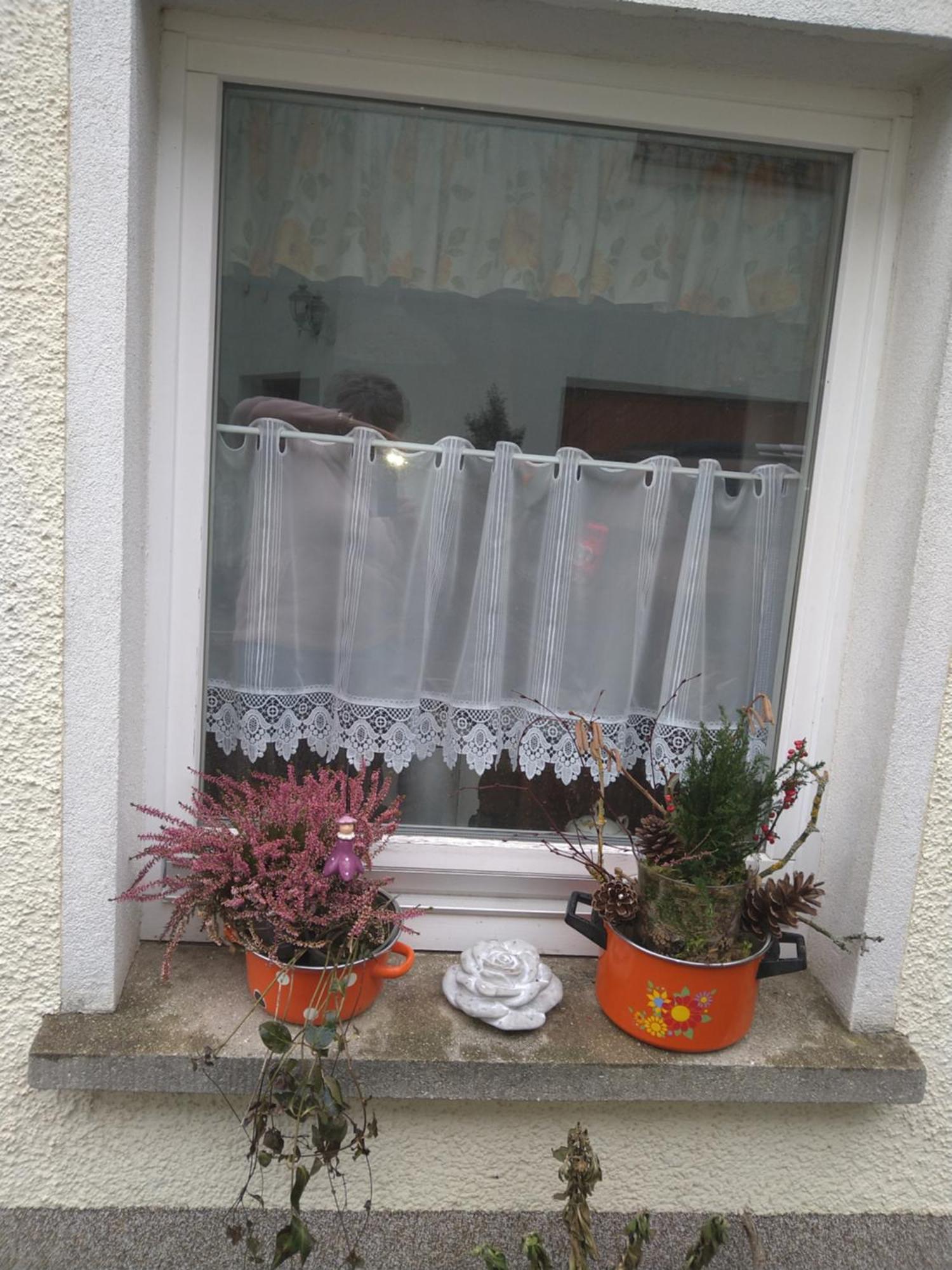 Ferienhaus Johanna & Ferienwohnung Thum Weischlitz Cameră foto